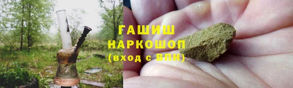 мдпв Елабуга