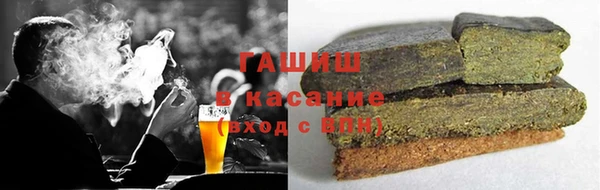 мдпв Елабуга