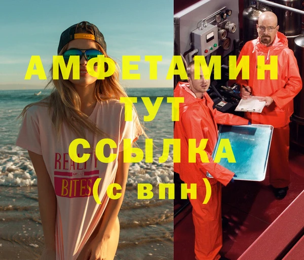 мдпв Елабуга