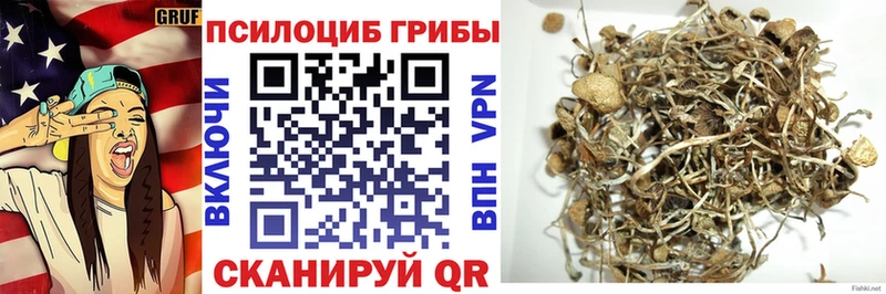 Галлюциногенные грибы мухоморы  где купить   дарк нет клад  Власиха 